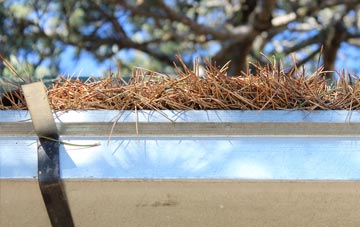 blocked gutters harbour pests
